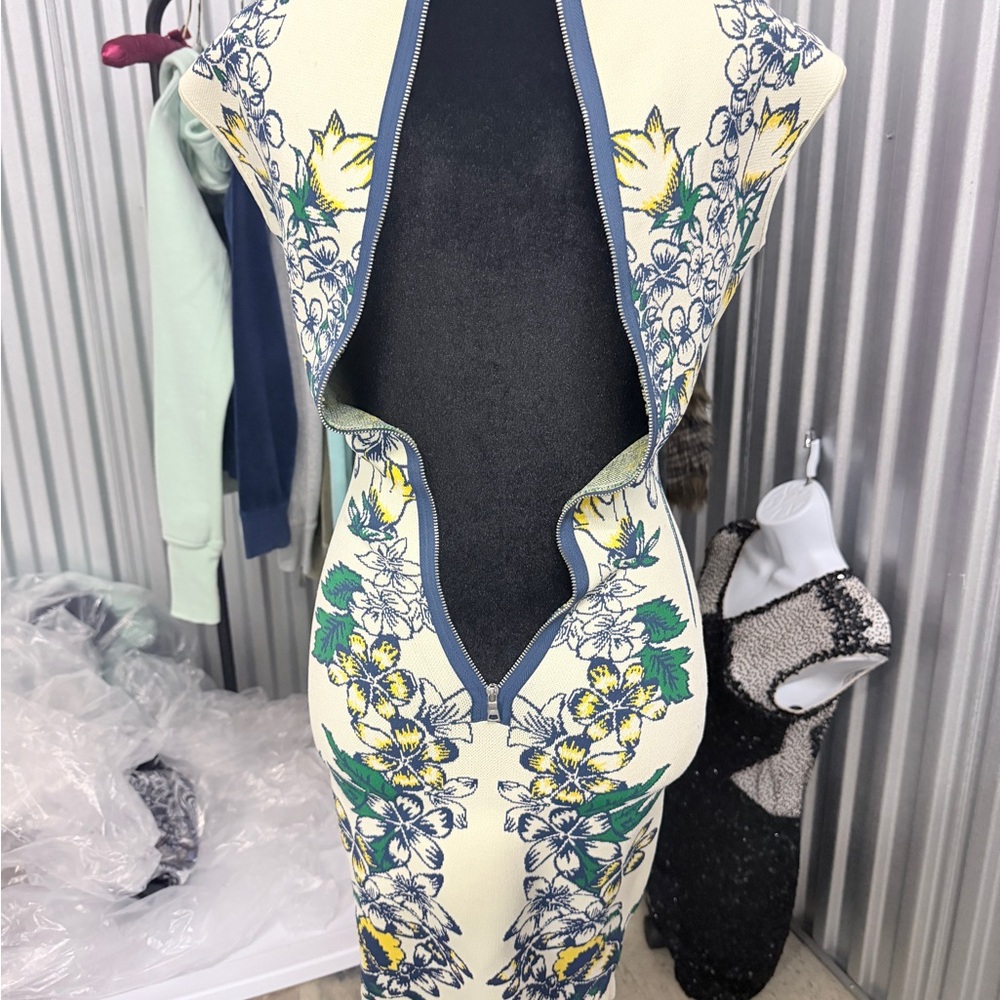 BCBGMaxAzria Cream and Blue Floral Dress